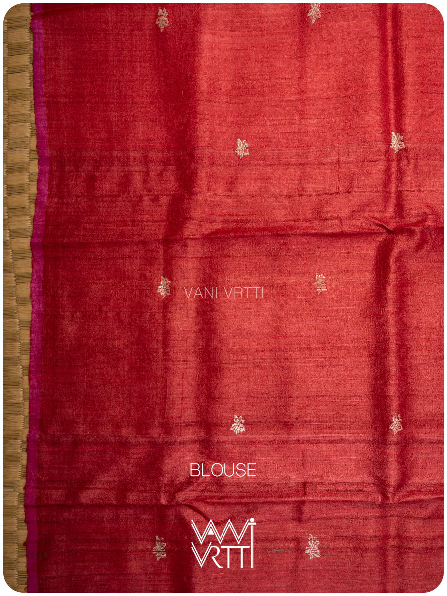 Rust Orange Nabh Butterfly Handspun Tussar Silk Saree