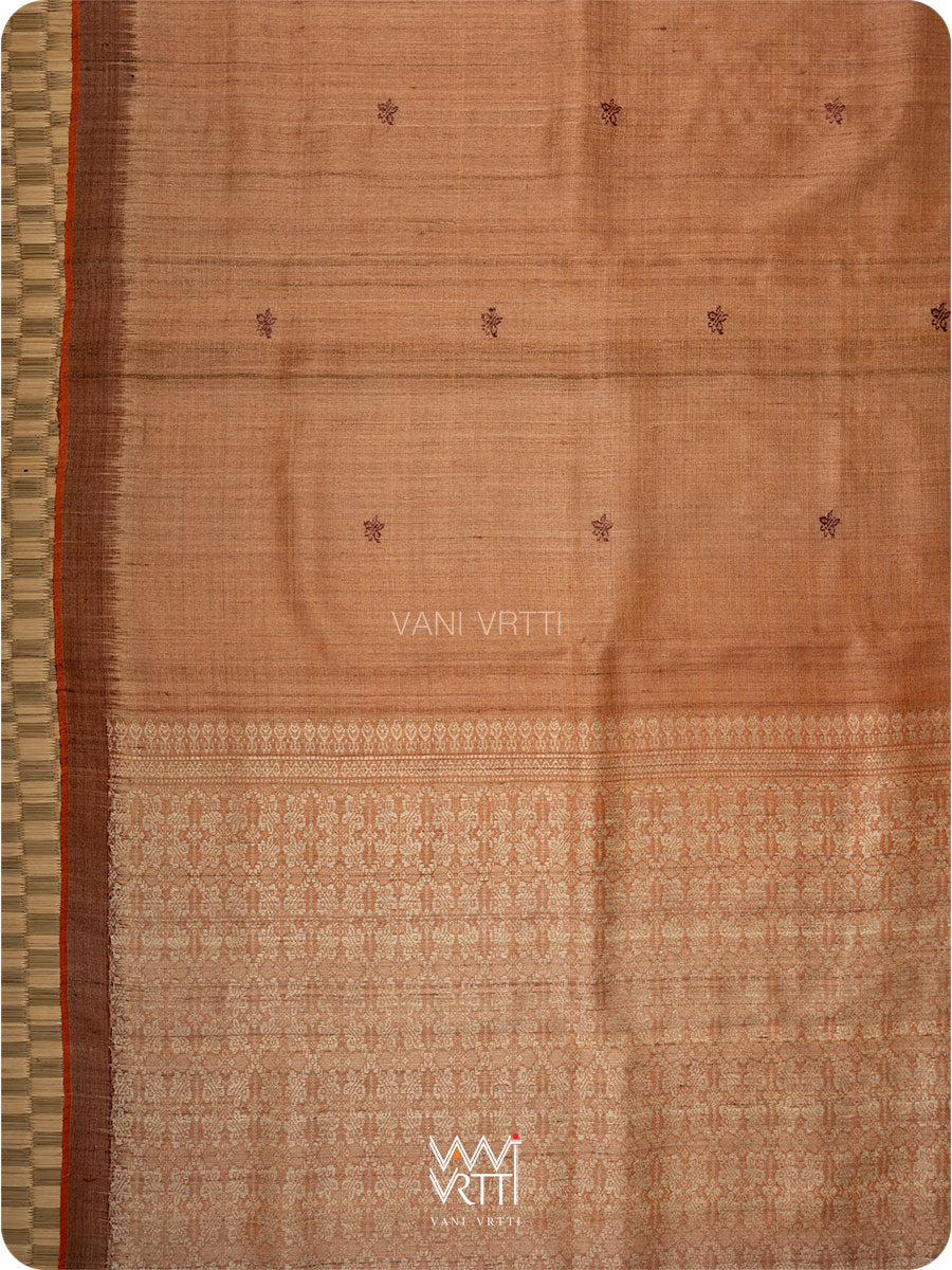 Light brown Nabh Butterfly Handspun Tussar Silk Saree
