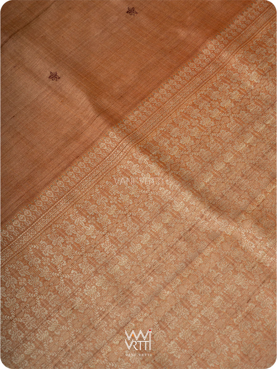 Light brown Nabh Butterfly Handspun Tussar Silk Saree