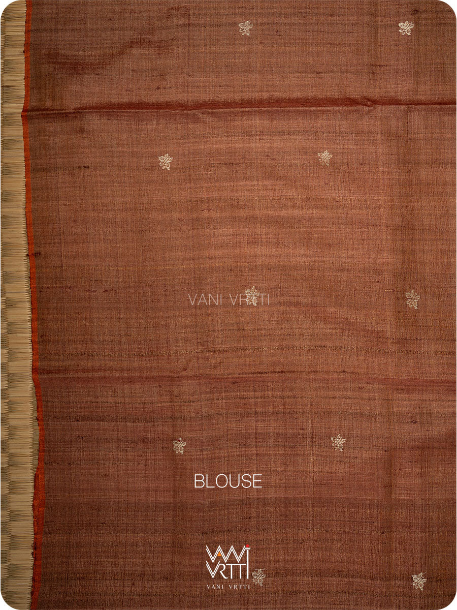 Light brown Nabh Butterfly Handspun Tussar Silk Saree