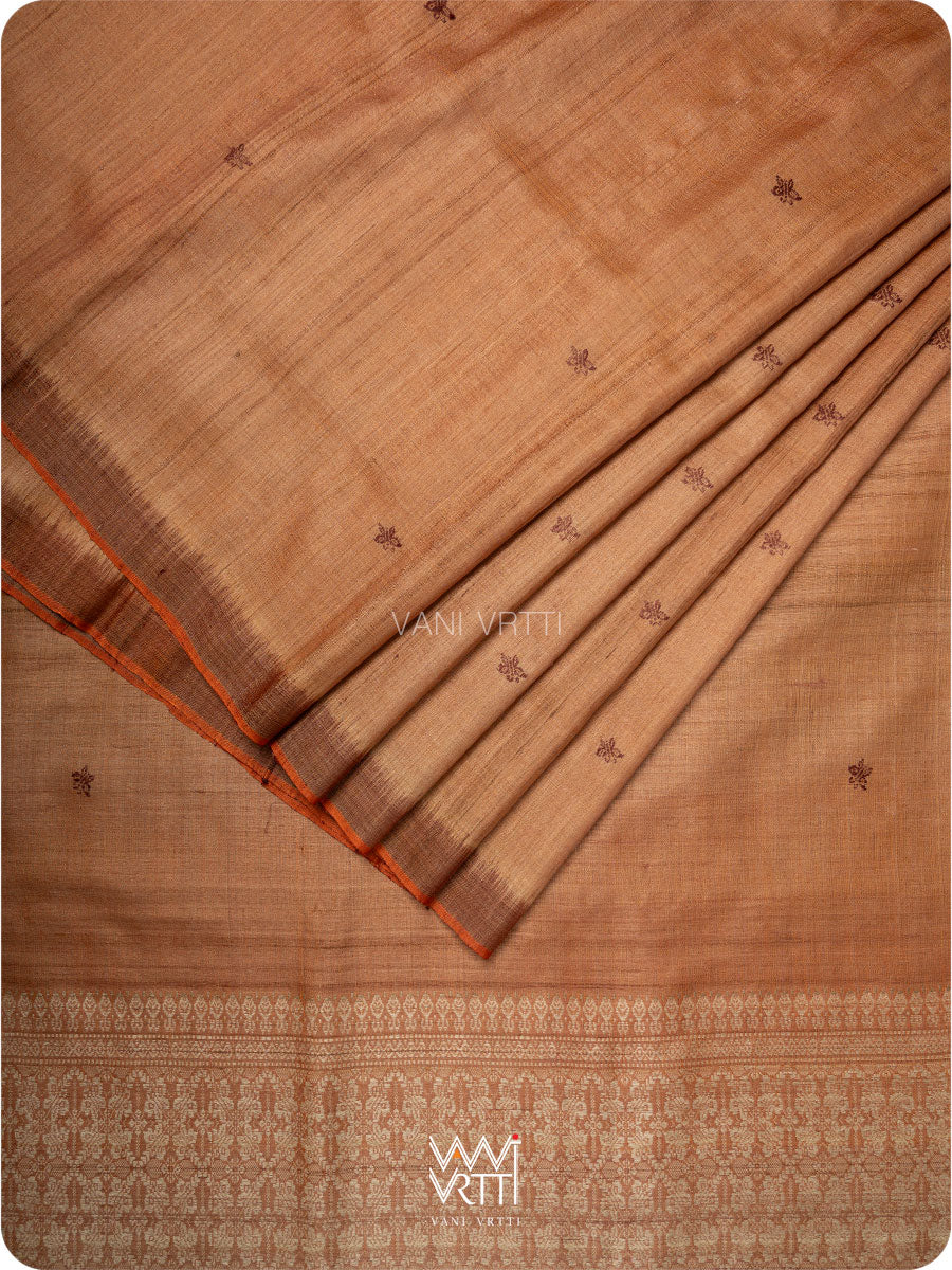 Light brown Nabh Butterfly Handspun Tussar Silk Saree
