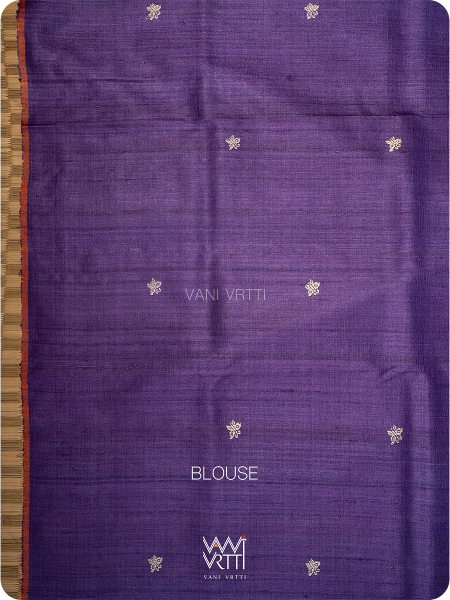 Peacock Green Purple Nabh Butterfly Handspun Tussar Silk Saree