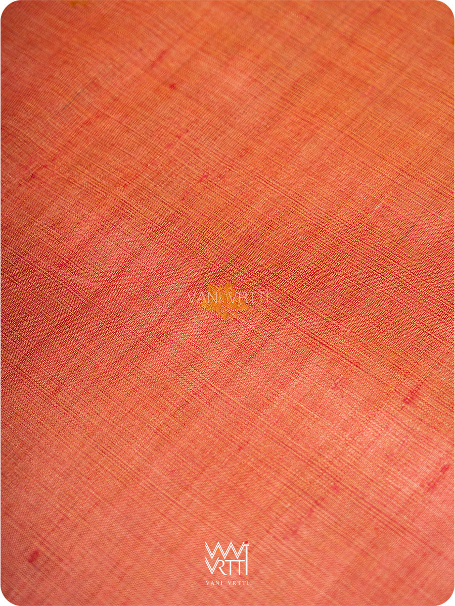 Deep Peach Red Nabh Butterfly Handspun Tussar Silk Saree