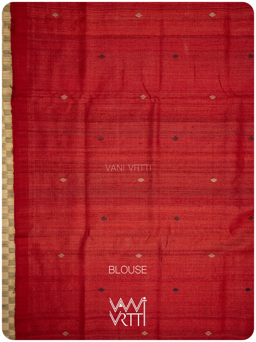 Grey Red Nadi Handspun Tussar Silk Saree