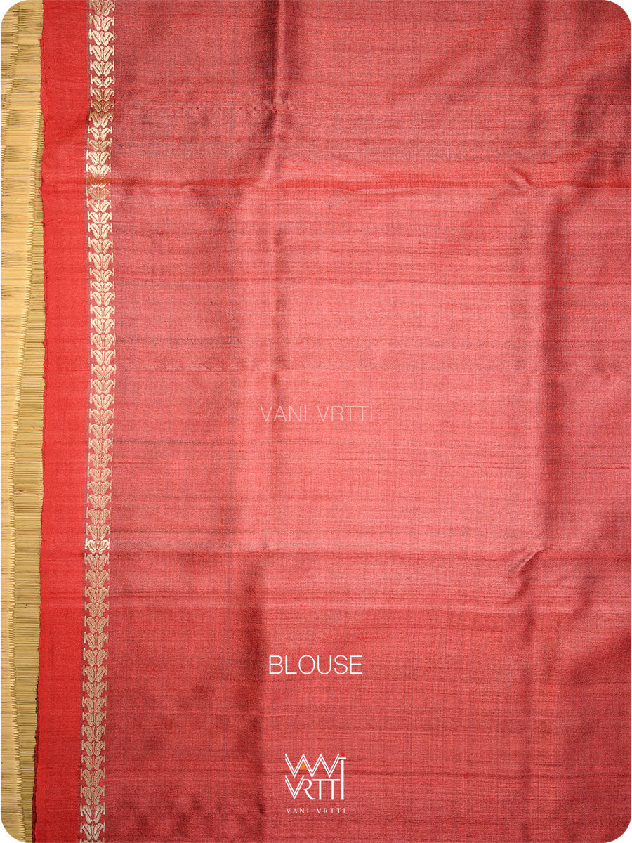 Black Aziz Ikat Handspun Tussar Silk Saree