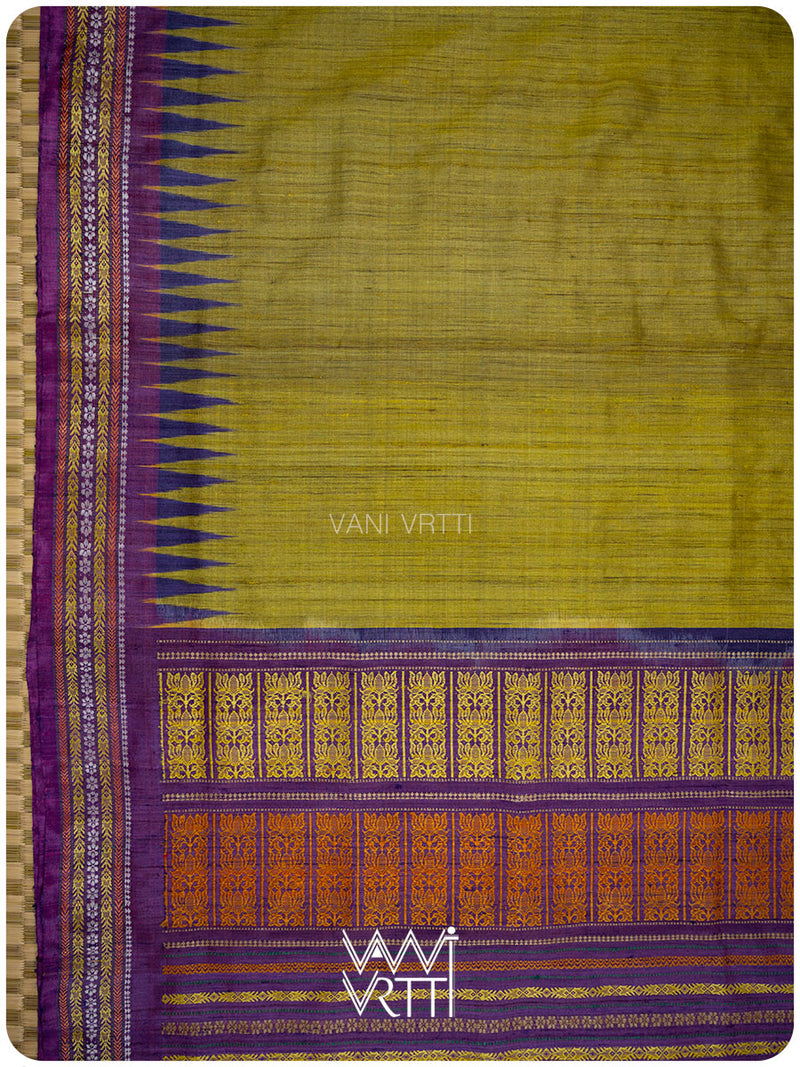 Green Gold Violet Ananta Handspun Tussar Silk Saree