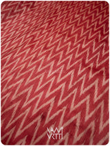 Red Aziz Ikat Handspun Tussar Silk Saree