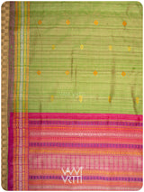 Tender Leaf Green Magenta Matsya Kachhap Handspun Tussar Silk Saree