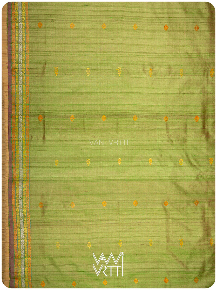 Tender Leaf Green Magenta Matsya Kachhap Handspun Tussar Silk Saree