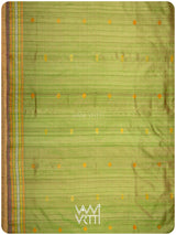 Tender Leaf Green Magenta Matsya Kachhap Handspun Tussar Silk Saree