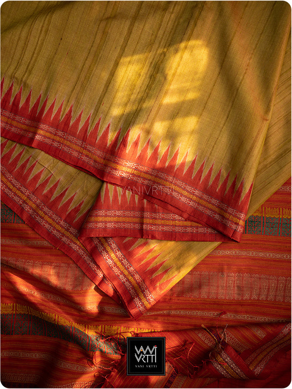 Pear Green Kachhap Handspun Tussar Silk Saree